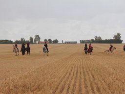 IMG_7104-028